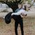 Kevin Scarbrough's profile image