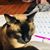 Beth Rossignol's profile image