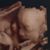 Nicole Lynn Purchase's profile image
