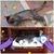 Bea Kniseley's profile image