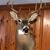Daniel J Convery's profile image