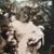 Barbara Brookhart Greene's profile image