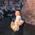 Steve Yoo's profile image