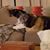 Kathy Meyers England's profile image