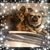 Kim Carr's profile image