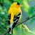 Sally Williams's profile image