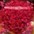 Yancira Fortuna's profile image