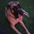 Raejean Brown-Krummrich's profile image