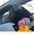 Jana Budoff Maynard's profile image