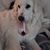 Heather Hester's profile image