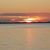 Lori Rinderknecht-Innis's profile image