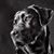 Debbie Bogard's profile image