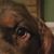 Jeff Leggett's profile image