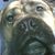 Mike Puckett's profile image
