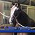 Judy Hadley's profile image