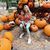 Lindsay Widell LaFontaine's profile image