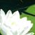 Michelle Beddow's profile image
