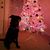 Kimberly Stokley's profile image