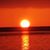 Thelisa Burnsed's profile image