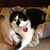 Maria Goodno's profile image