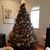 Lisa Routon Hodges's profile image