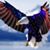 Dominic Michael's profile image