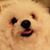 Tracey Royals's profile image