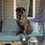 Amy Hodge's profile image