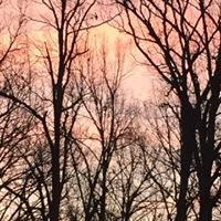 Tammy Taylor Luttrell's profile image
