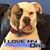 Chuck Smith's profile image