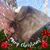 Patrick Krebs's profile image
