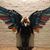 Dana Lachapell's profile image