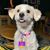 Jill Aurand's profile image