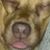 Joe Hight's profile image