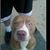 Mike Roy's profile image