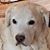 Natalie Stribley's profile image