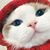 Yanqiu Li's profile image