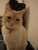 Corie H.'s profile image