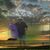 Elizabeth Ann Daniel-diaz's profile image