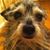 Douglas Shelton's profile image