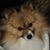 Kim Harris's profile image