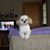 Sue Jacobi's profile image
