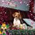 Sandie White Robinson's profile image
