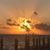 Janine Slohn's profile image