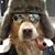 Bob Roach's profile image