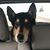 Doris Friess's profile image
