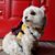 Jesabel Cruz Yilmaz's profile image