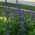 Vicki Corning Cole's profile image
