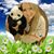 Maricela Hernandez's profile image