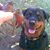 Amy Pratt's profile image